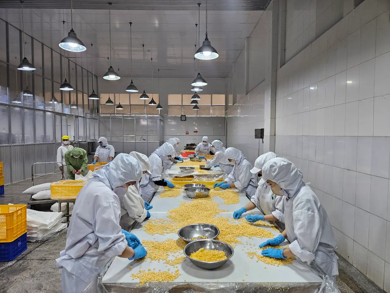 Những lợi ích của Agri Food