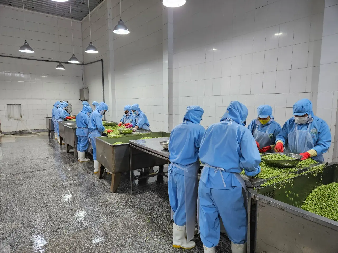 Hình ảnh từ nông trường Agri Food