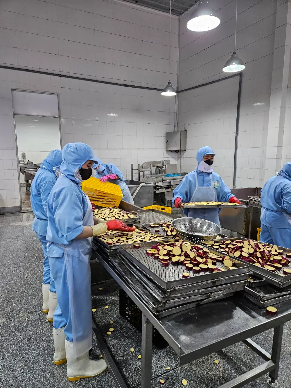 Hình ảnh từ nông trường Agri Food
