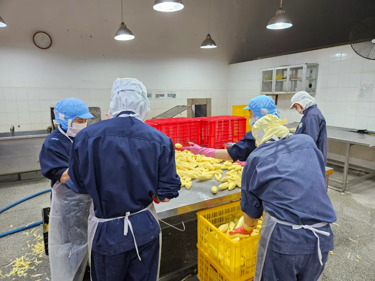 Hình ảnh từ nông trường Agri Food