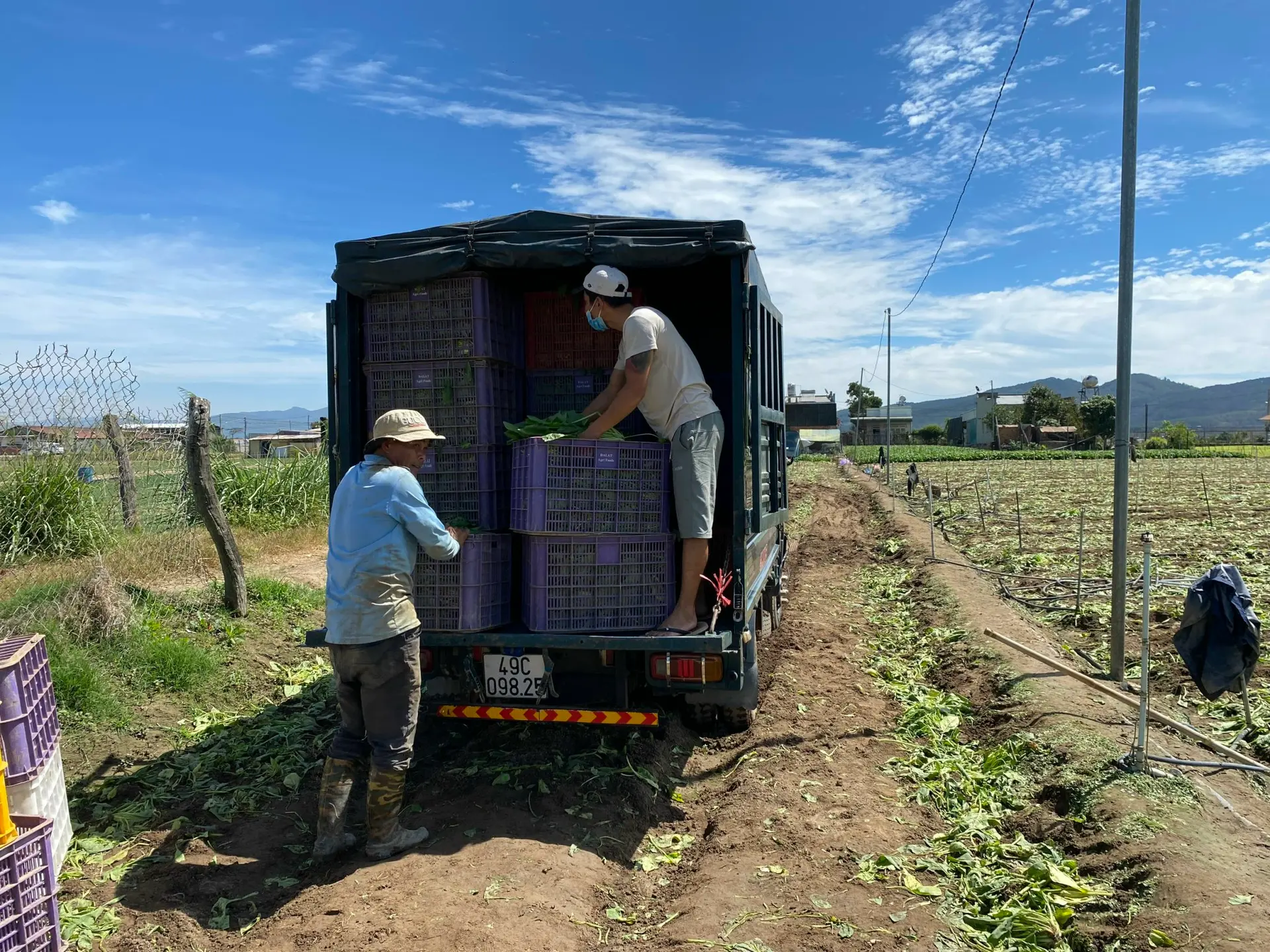 Hình ảnh từ nông trường Agri Food