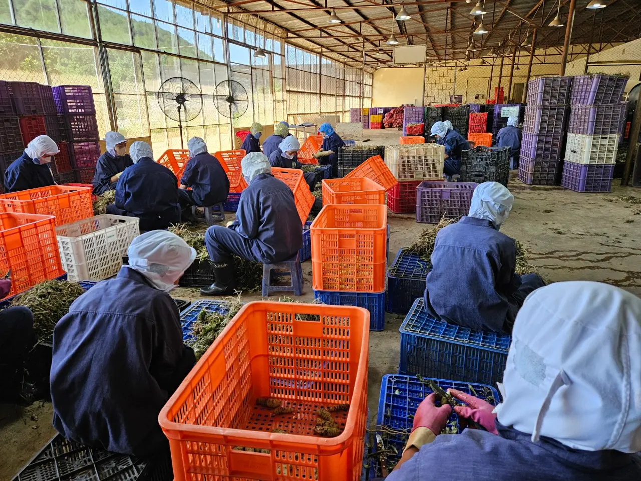 Hình ảnh từ nông trường Agri Food