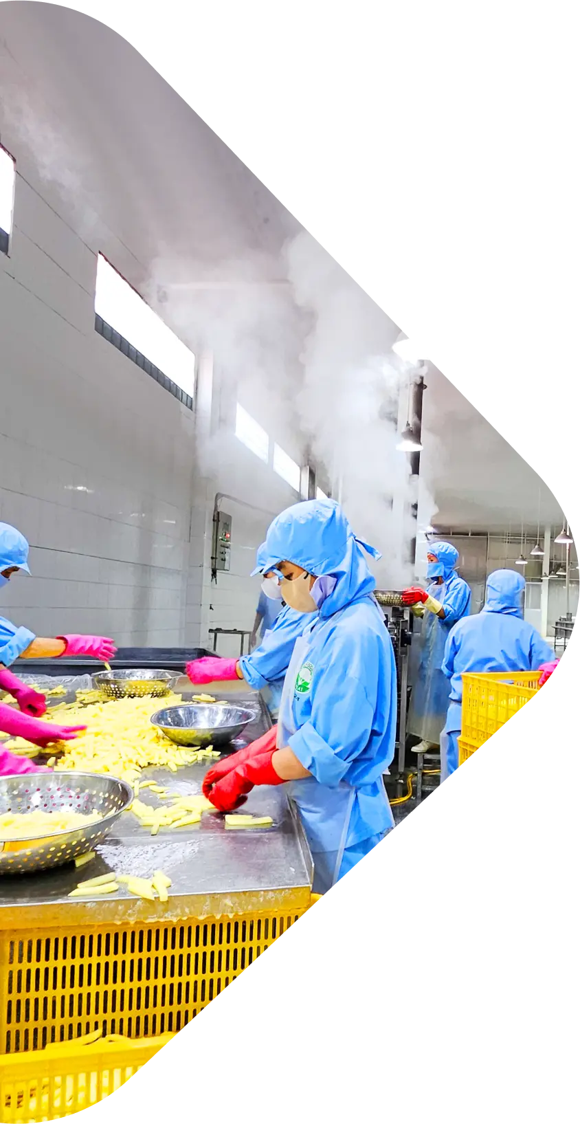 Mission Agri Food