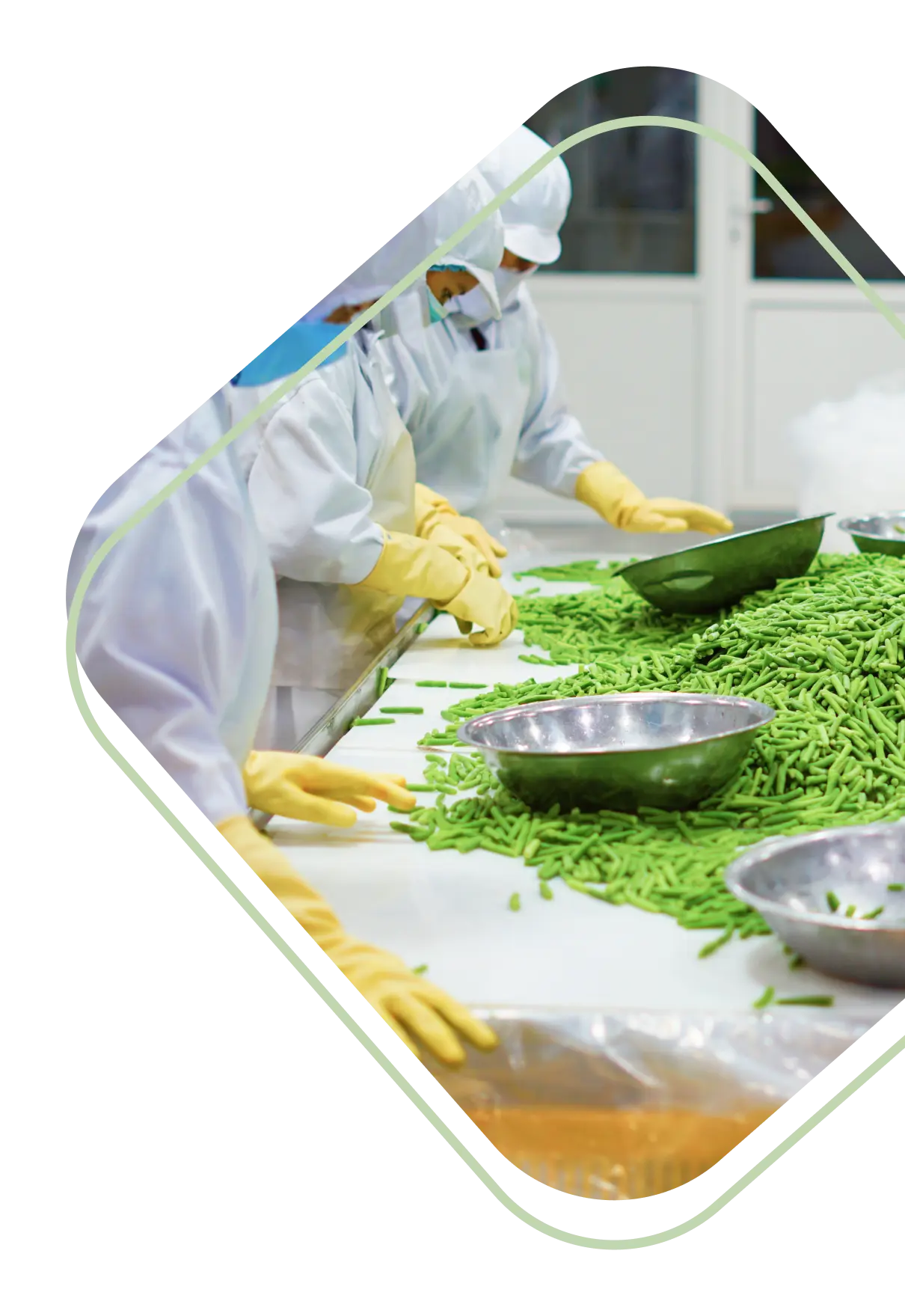 Vision Agri Food